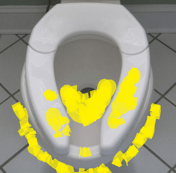 Studies Show Stanford Students Pee Outside the Bowl The Stanford Flipside