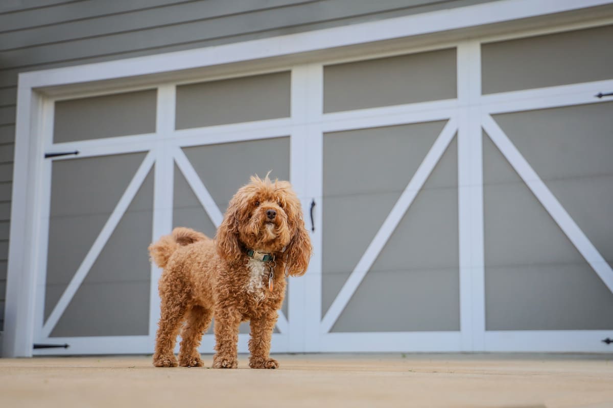 Tips on Making Your Garage PetFriendly Stanley Garage Builders