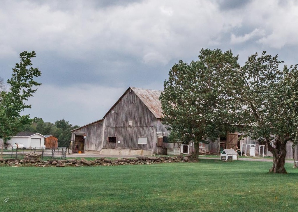 Stanley’s Olde Maple Lane Farm Stanley's Olde Maple Lane Farm