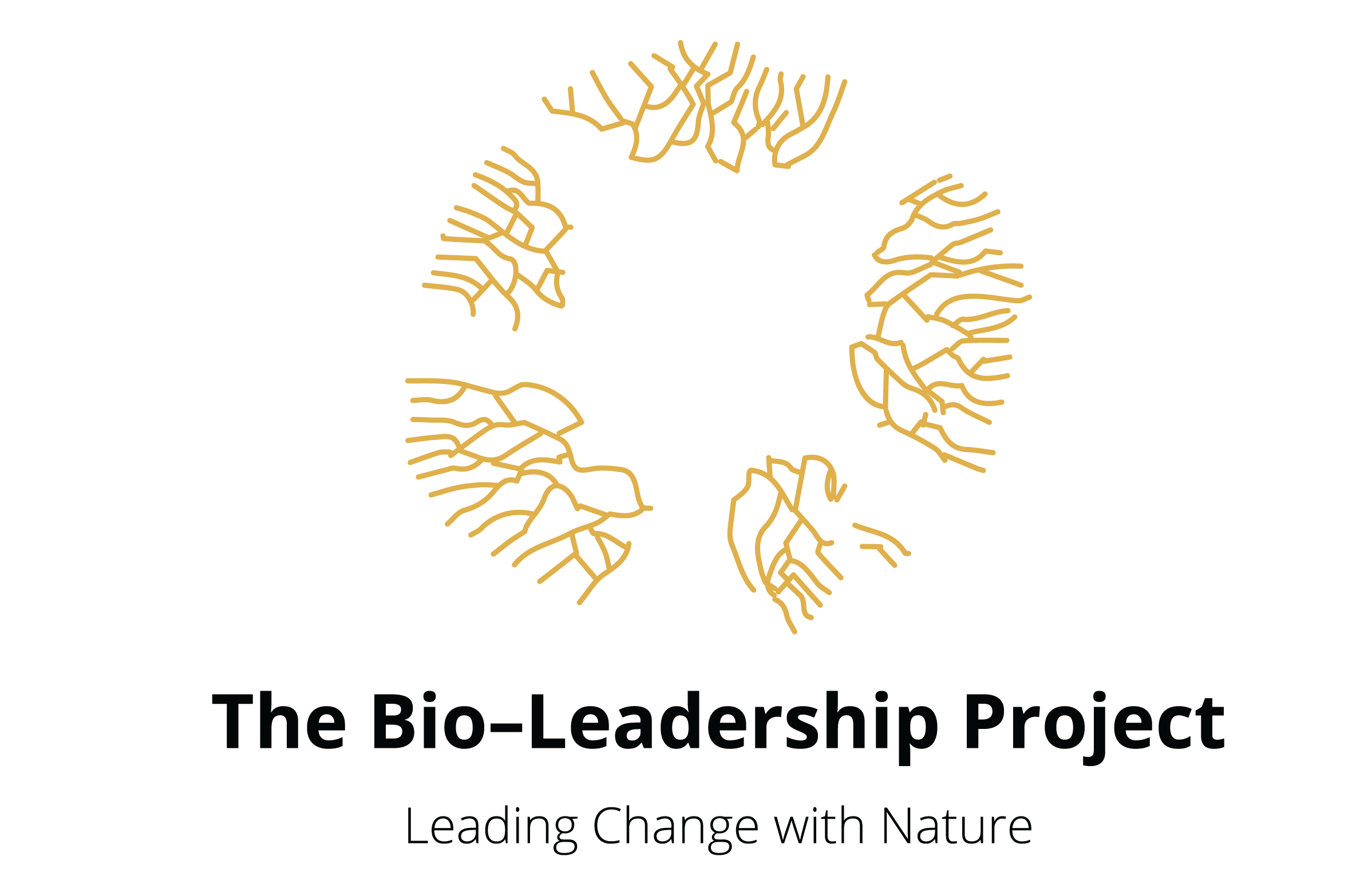The BioLeadership Project St Anne's House St Anne's House