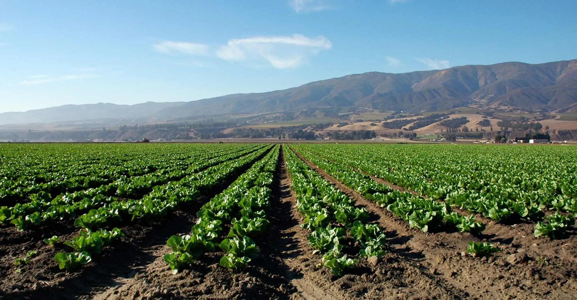 Plan A Visit St. Ansgars Lutheran Church