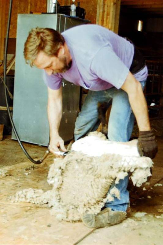 Wool St. Ansgar Saddle & Wool Company