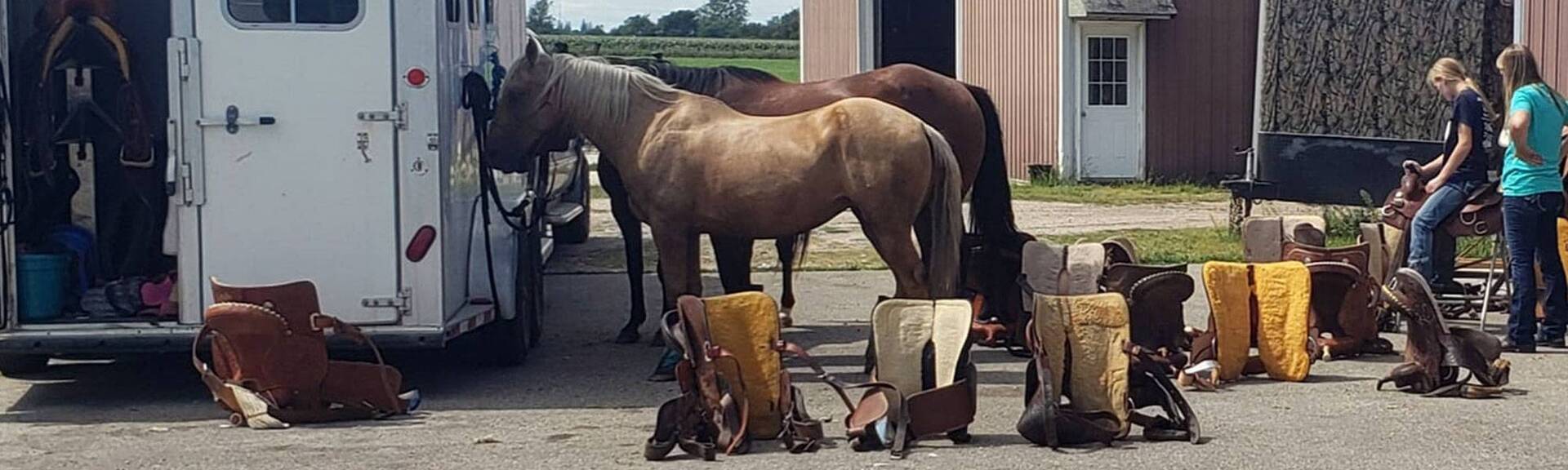 St Ansgar Saddle & Wool Company Balanced Ride, Trail, Collectible