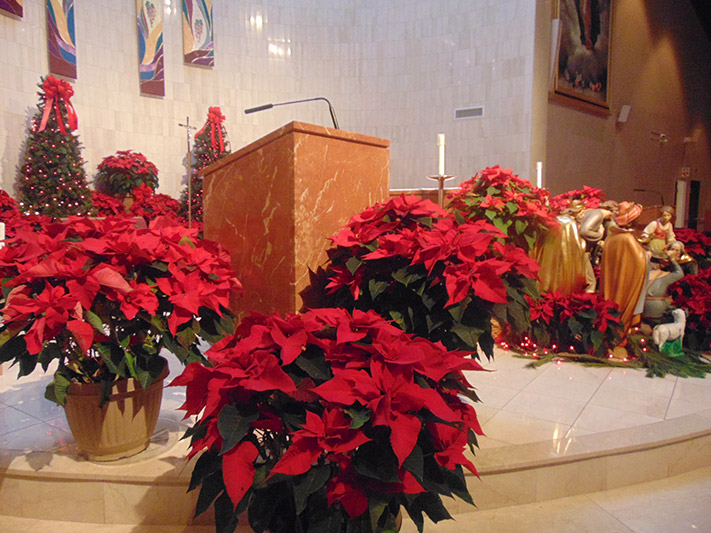 Christmas 2014 Saint Anthony of Padua Catholic Church