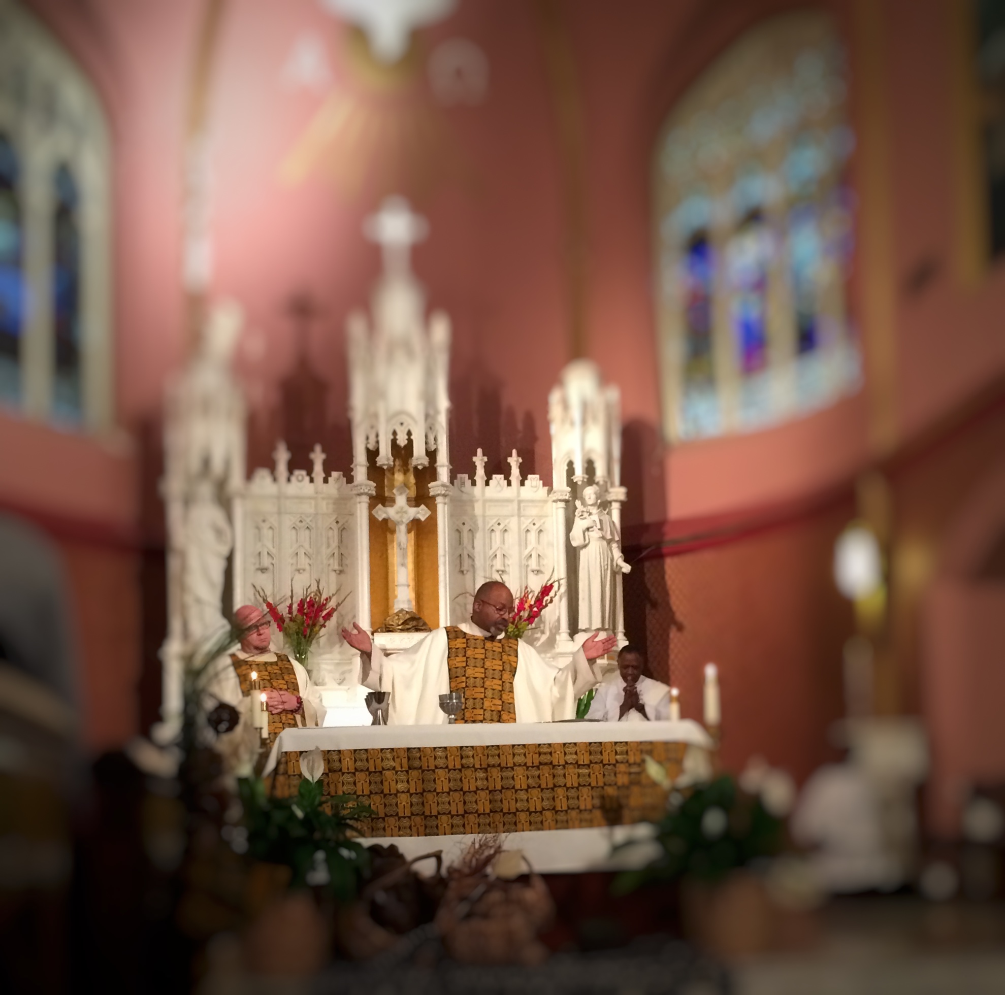 Sunday Mass St. Anthony of Padua Catholic Church