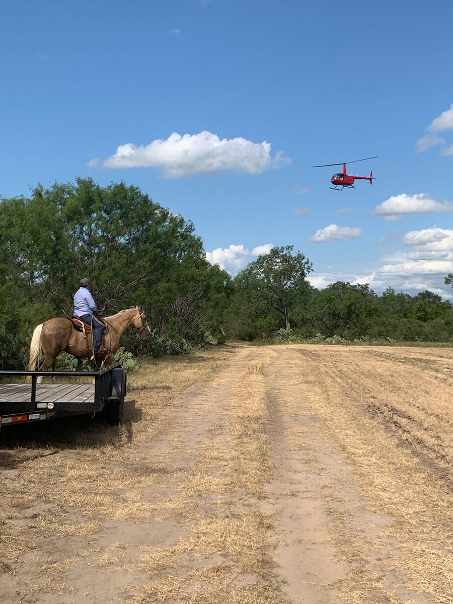 About Us Stanton Braford Ranch Braford Cattle Poteet, Texas