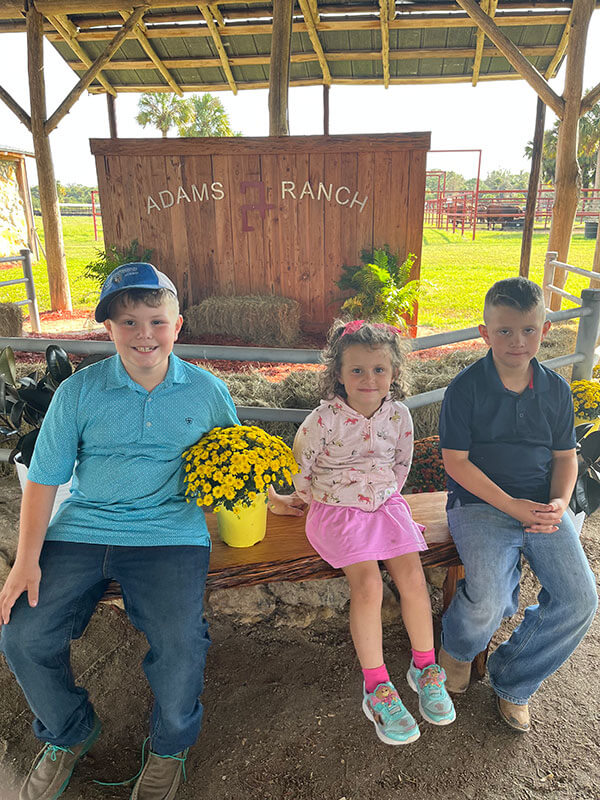 Home Stanton Braford Ranch Braford Cattle Poteet, Texas