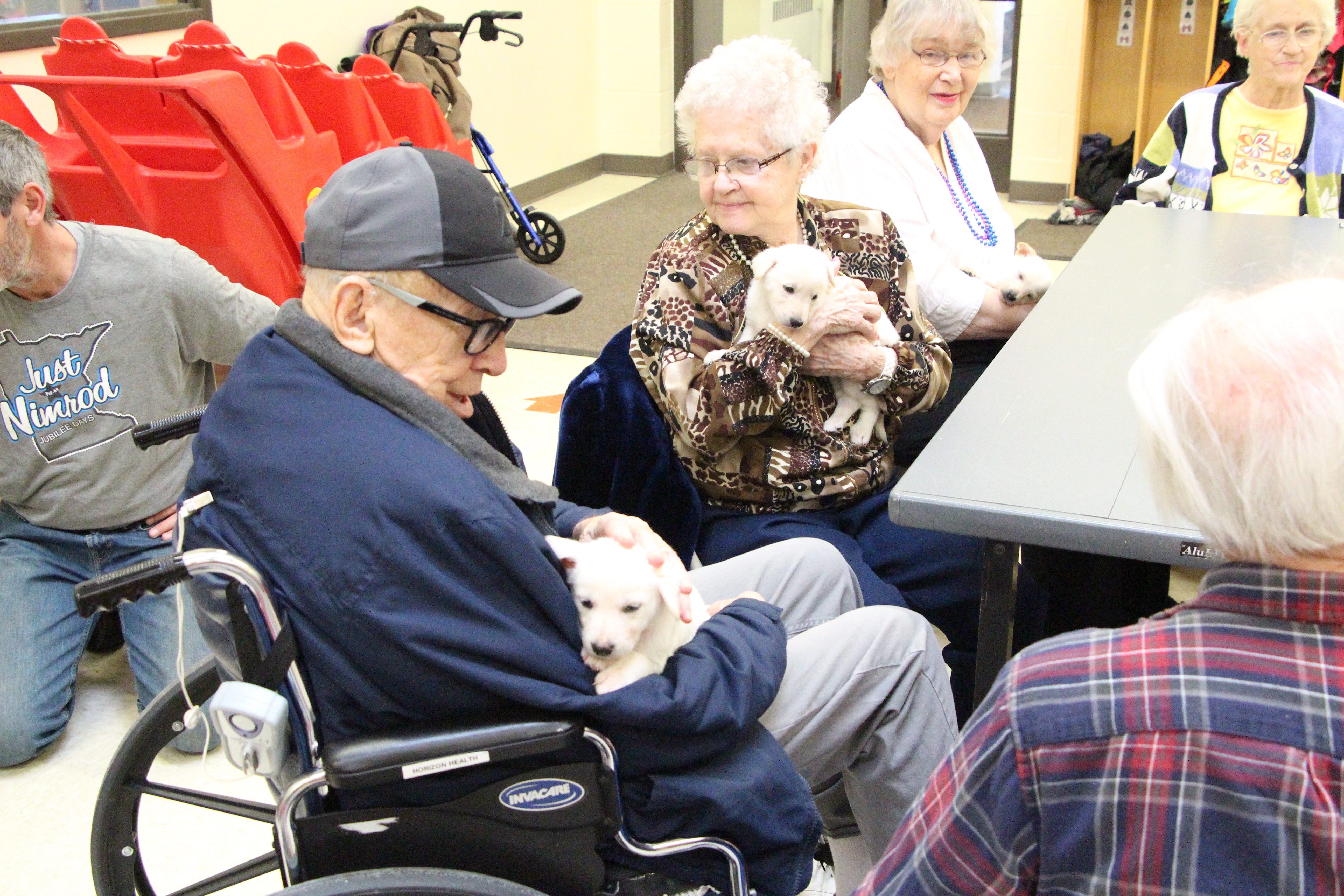 Puppies at Preschool Staples World