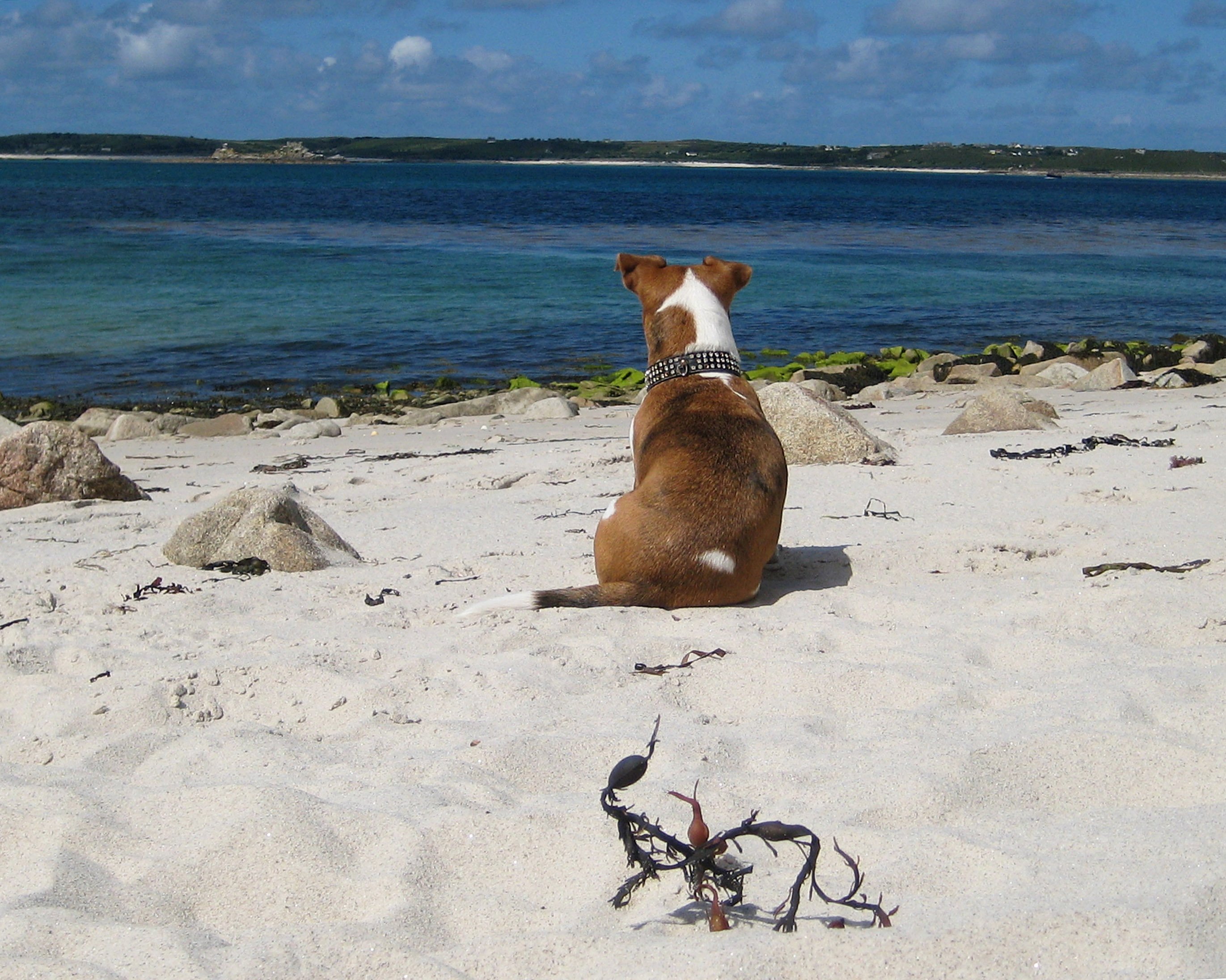 Tariffs and Travel Star Castle Hotel Isle of Scilly