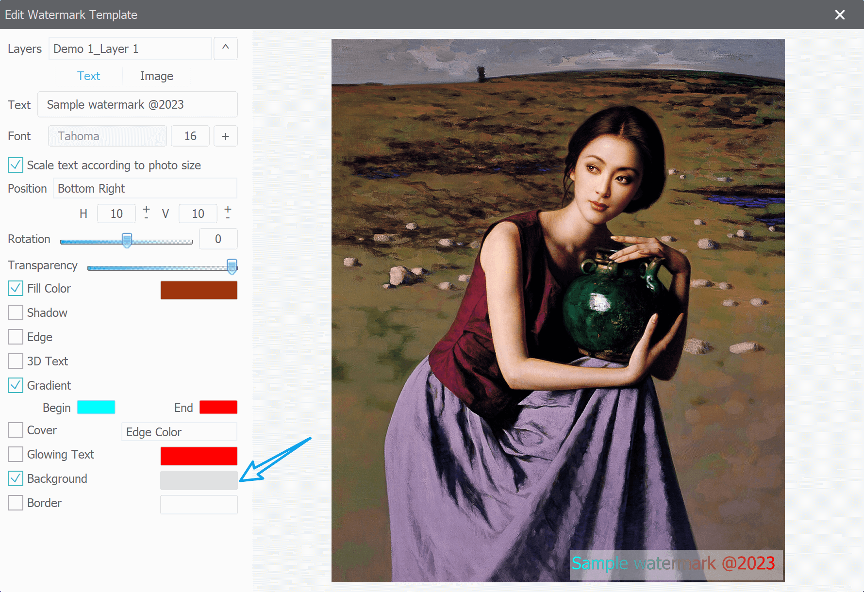 How to Add Borders to Watermarks with Star Watermark