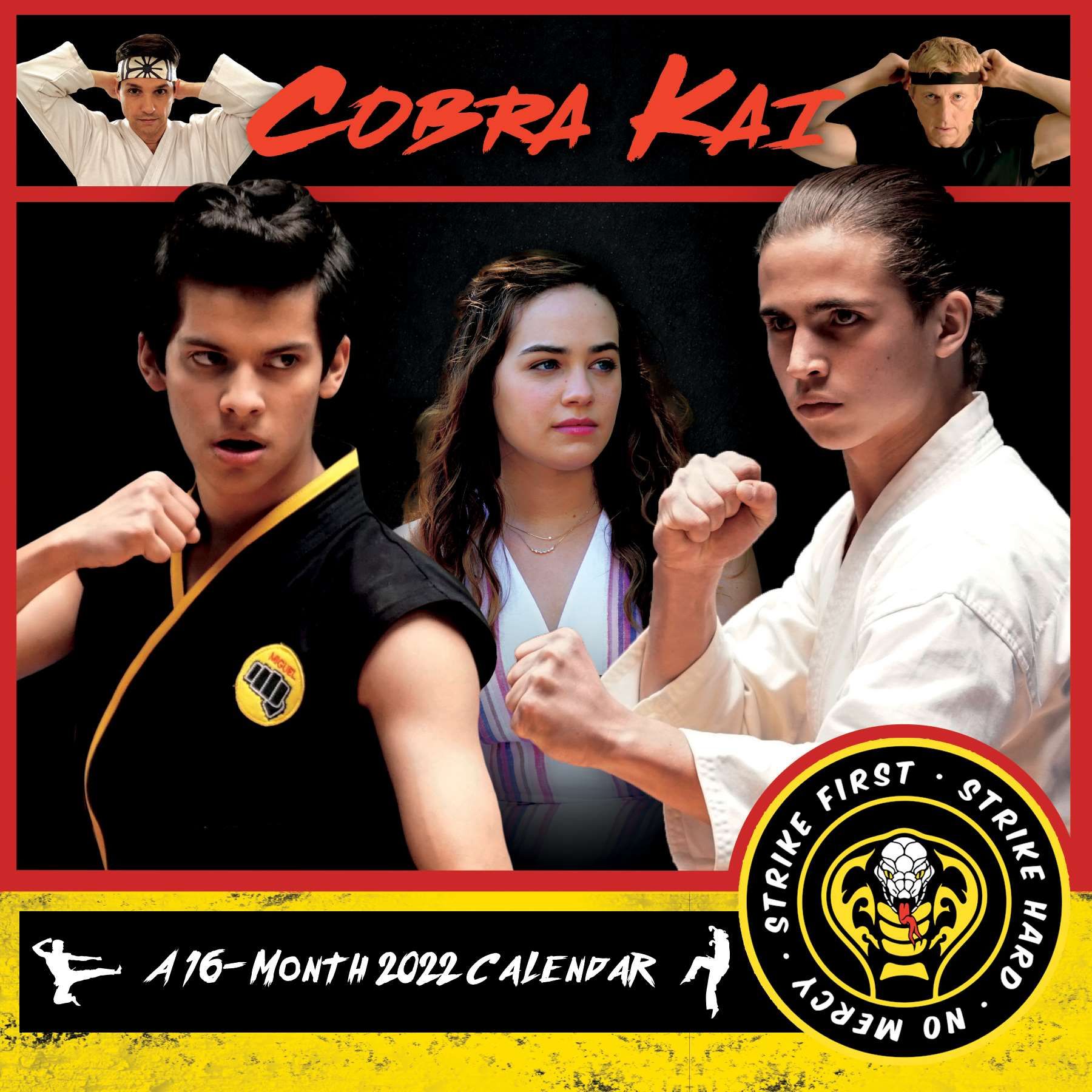 Cobra Kai Tv Series 16 Month 2022 Photo Images Wall Calendar New Sealed |  Starbase Atlanta