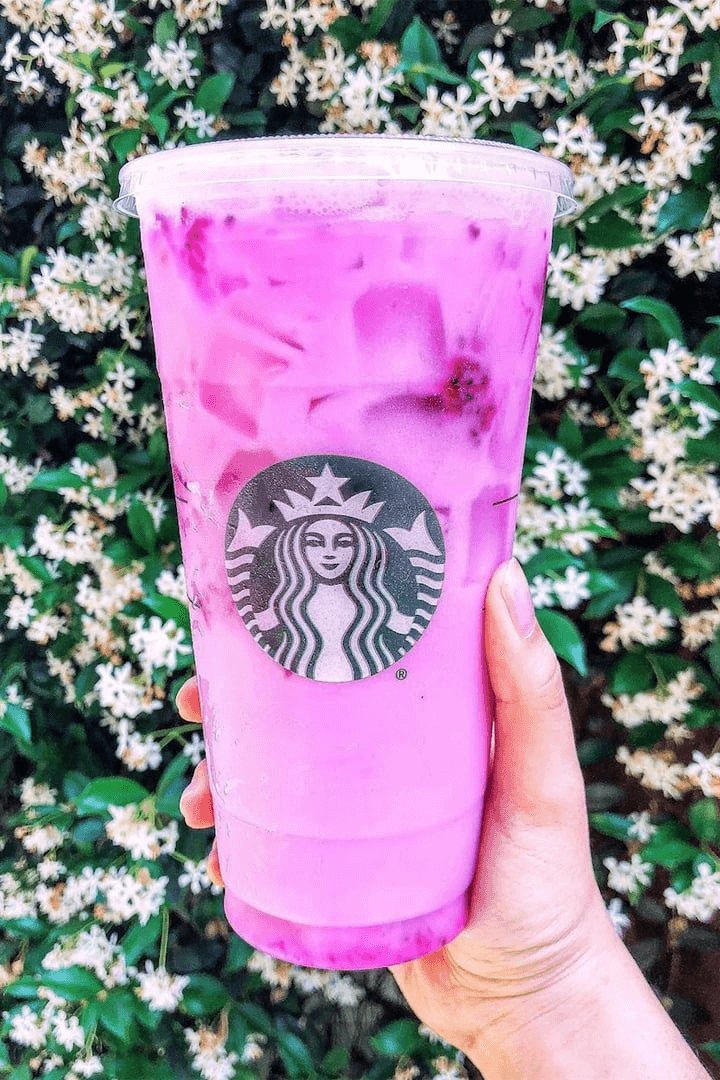 Best Starbucks drinks for nausea starbmag