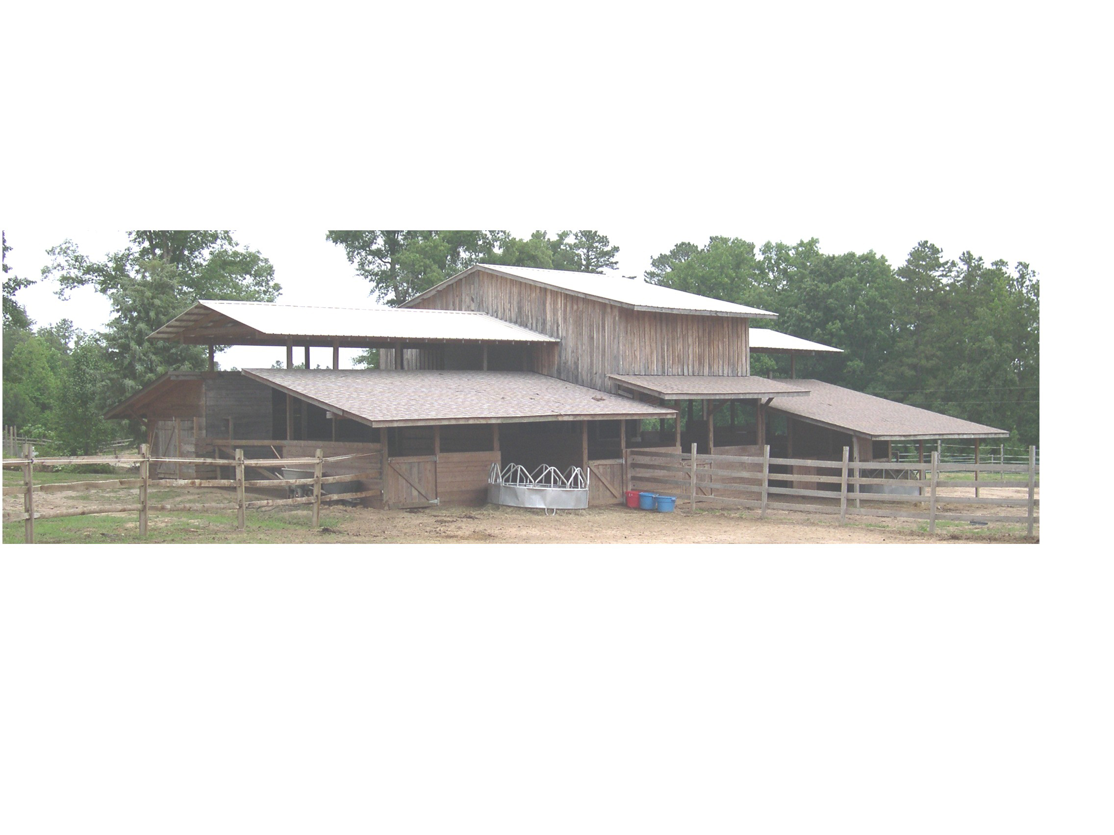 barn Starborn Havanese