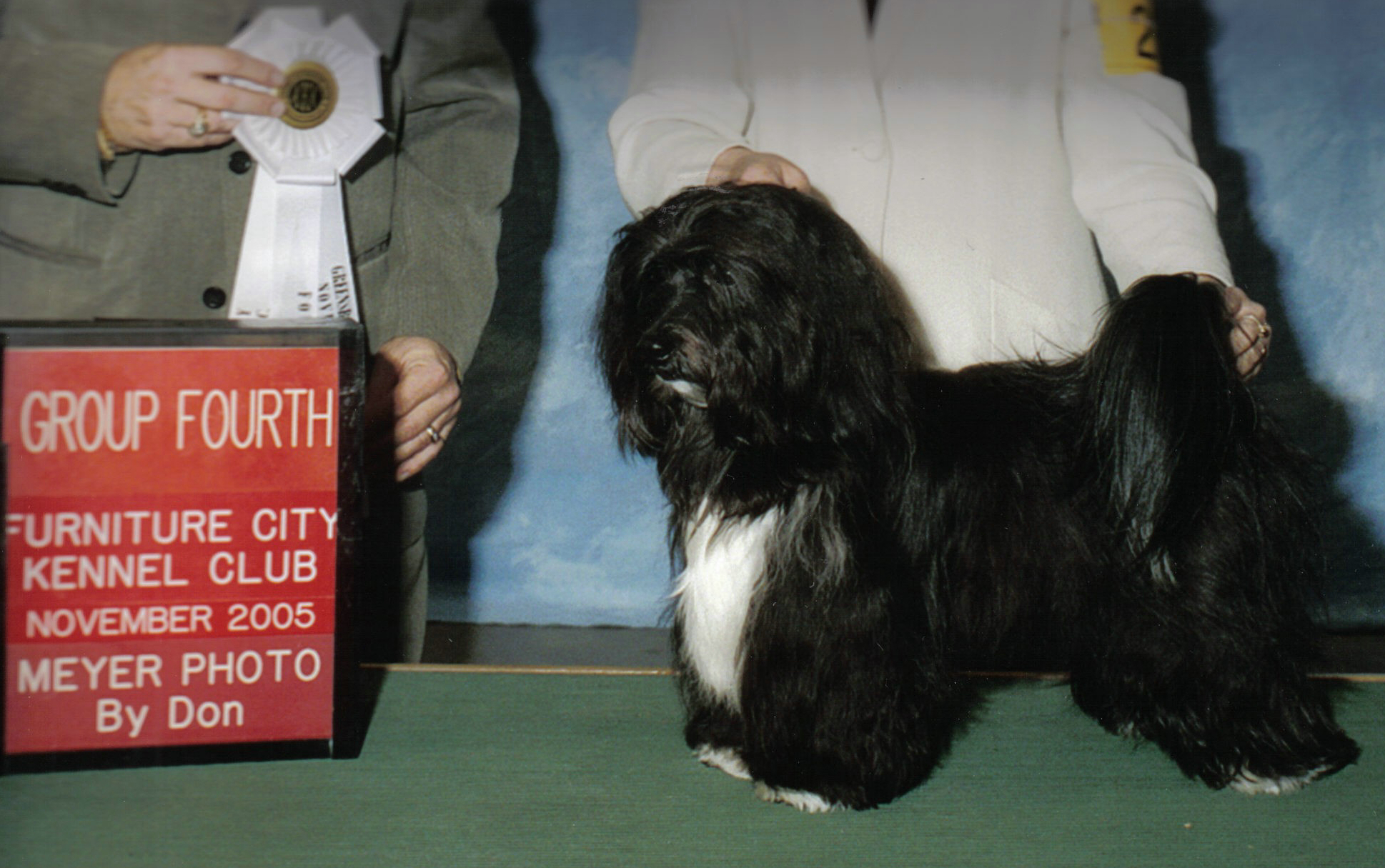 Poshpage Starborn Havanese