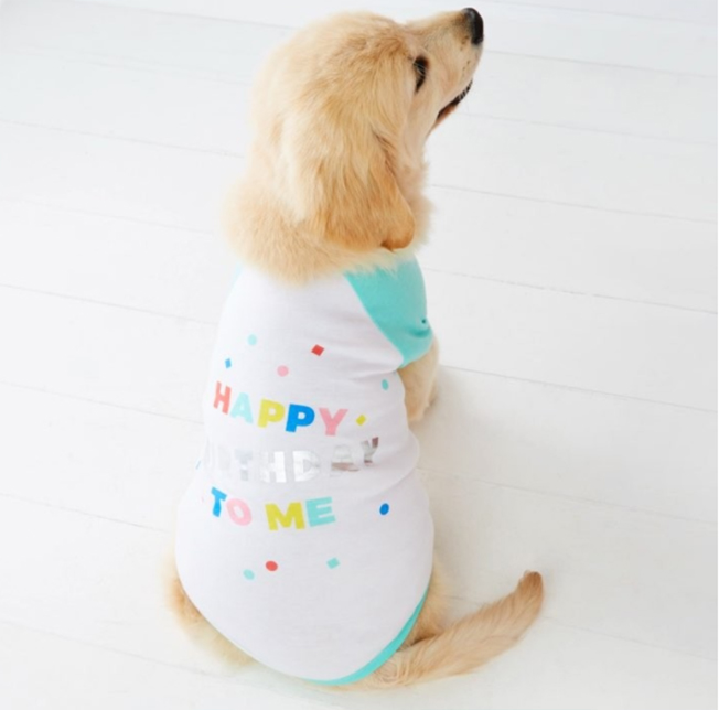 Kmart Just Released This Dog Birthday Outfit And It's Absolutely