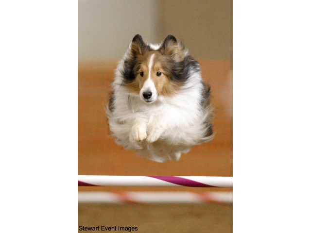 February 2023 Events Roanoke Va Today