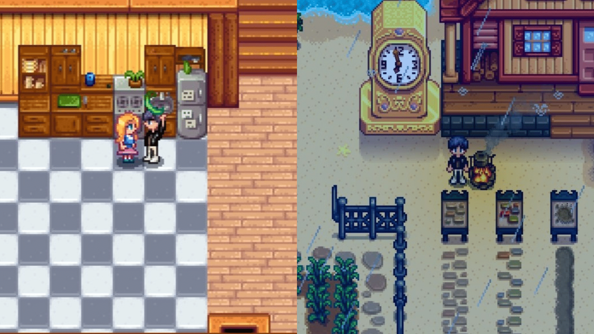 Bean Hotpot Cooking, Gifting, Bundles, Benefits, and More