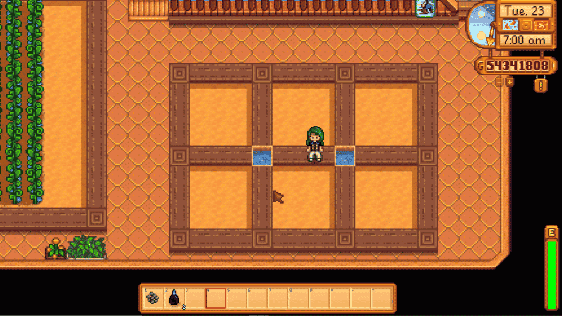 Wren's Expanded Greenhouse Installation, Features, and More