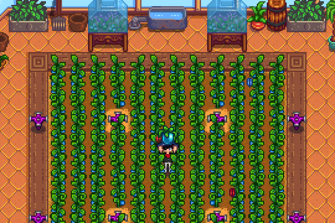 Stardew Valley Greenhouse 16 Best Crops to Grow