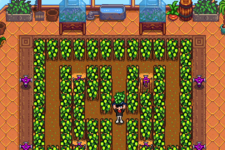Stardew Valley Greenhouse 16 Best Crops to Grow