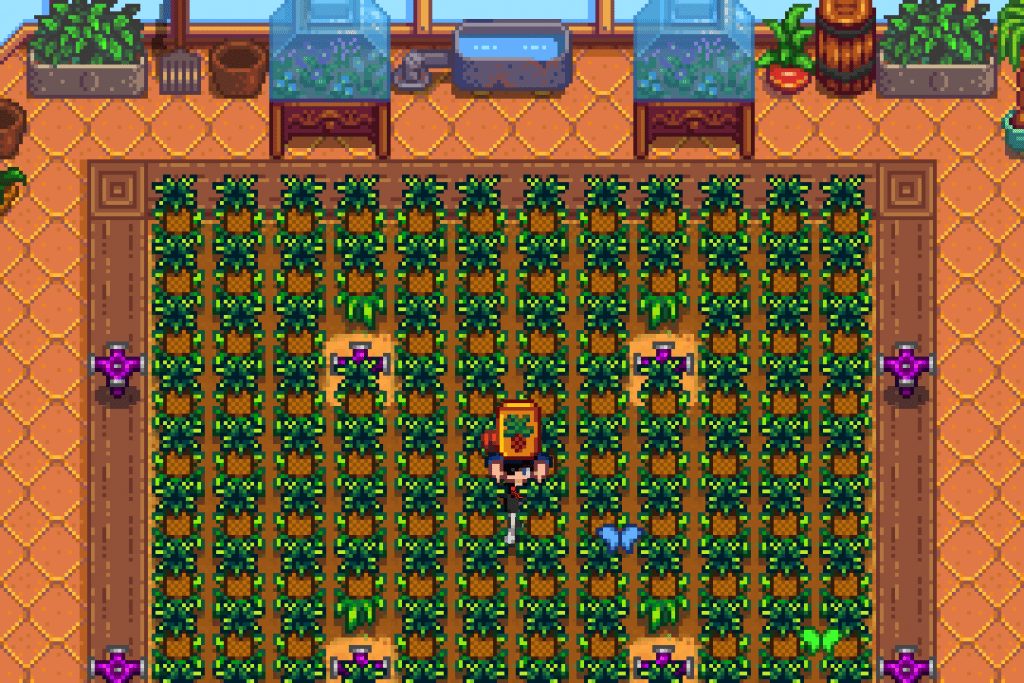 Stardew Valley Greenhouse 16 Best Crops to Grow