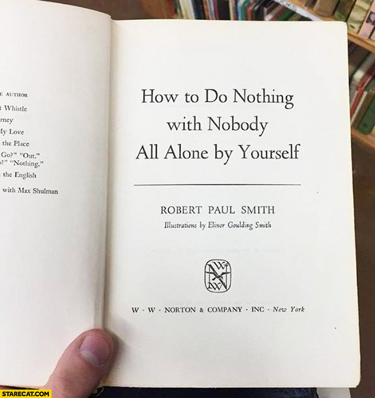 How to do nothing with nobody all alone by yourself book