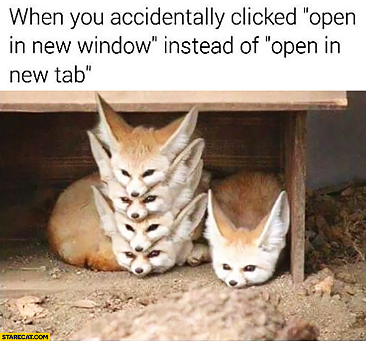 When you accidentally clicked “open in new window” instead of “open in