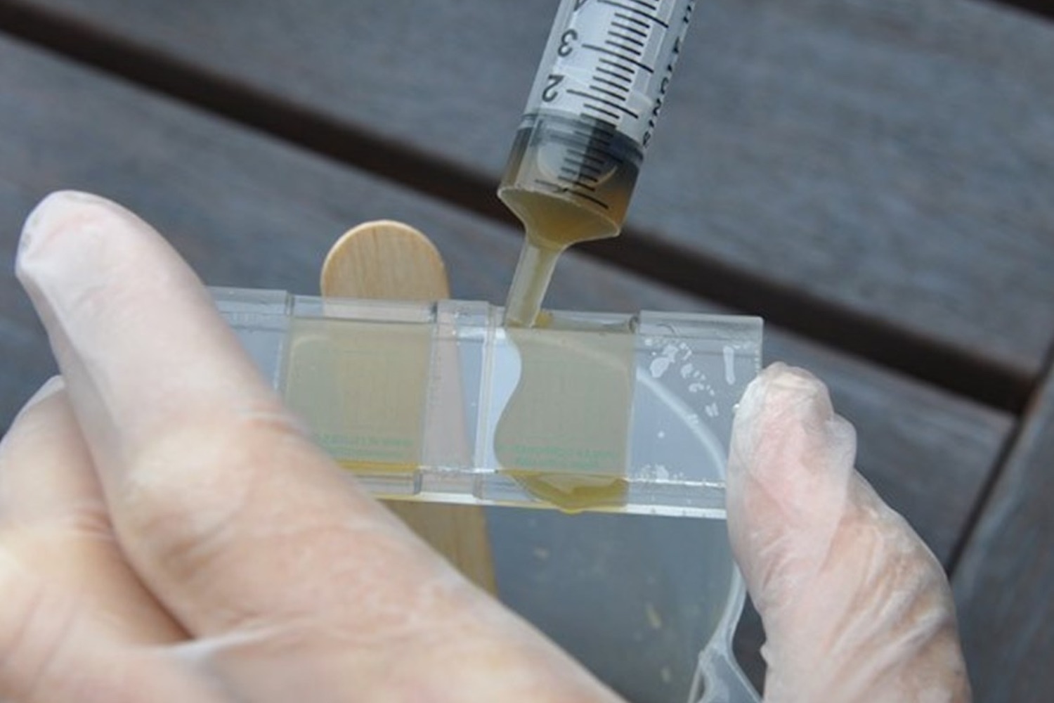 Fecal Egg Counts And What They Can Tell Us About Our Horses Health