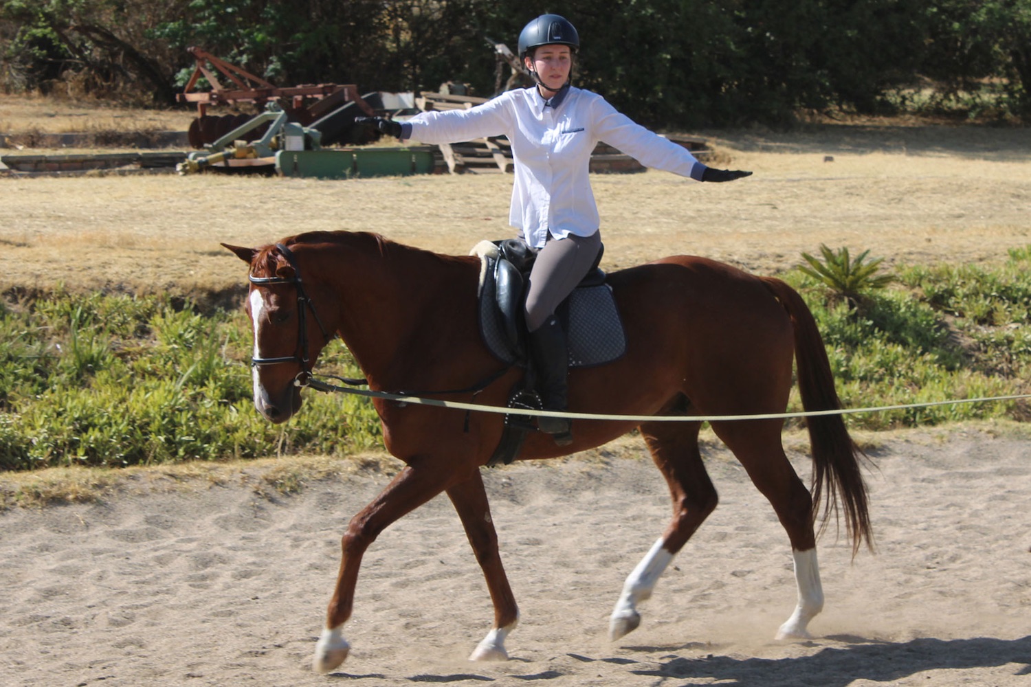 Riding On The Lunge Exercises For Your Upperbody Stargazey's Equine