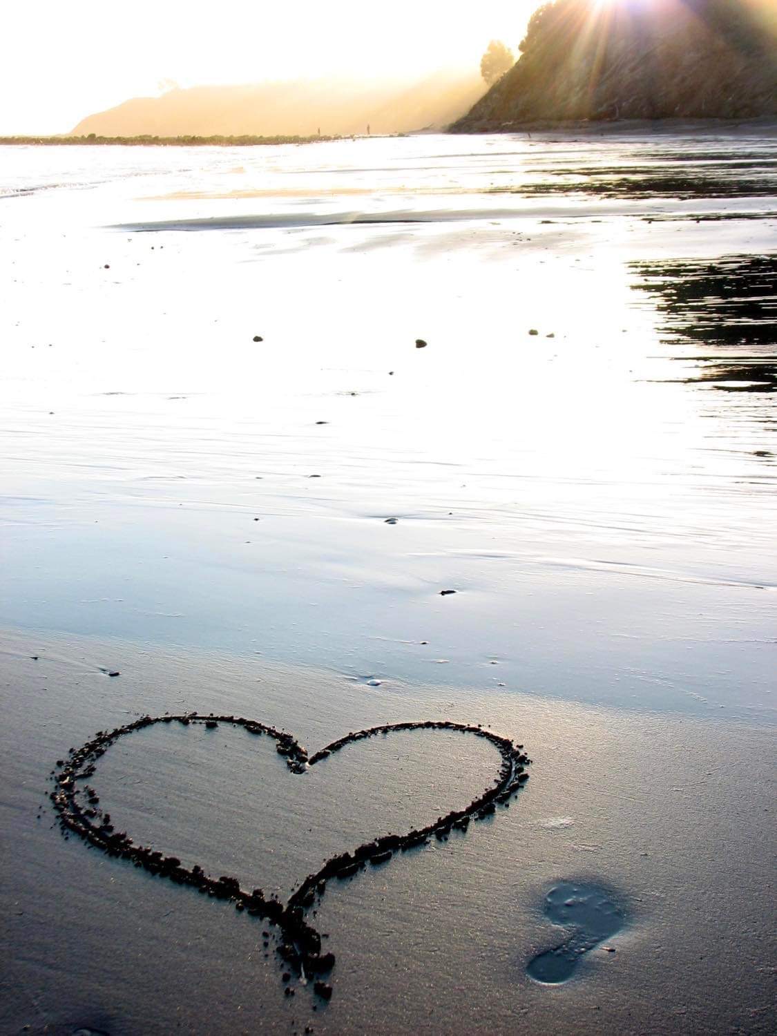 About Amata Albero Star Heart Holistic Counseling