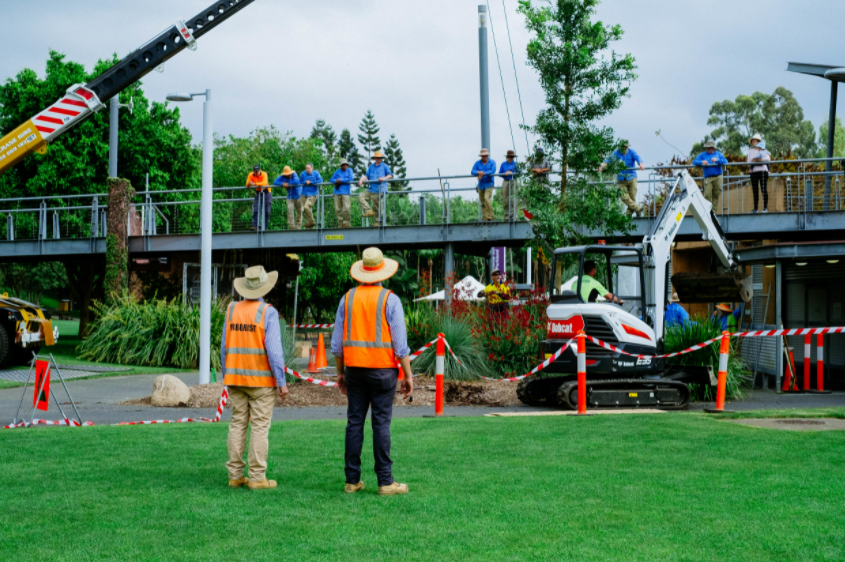 Level 5 Arborist Near Me Best Aqf 5 Arborist 2022