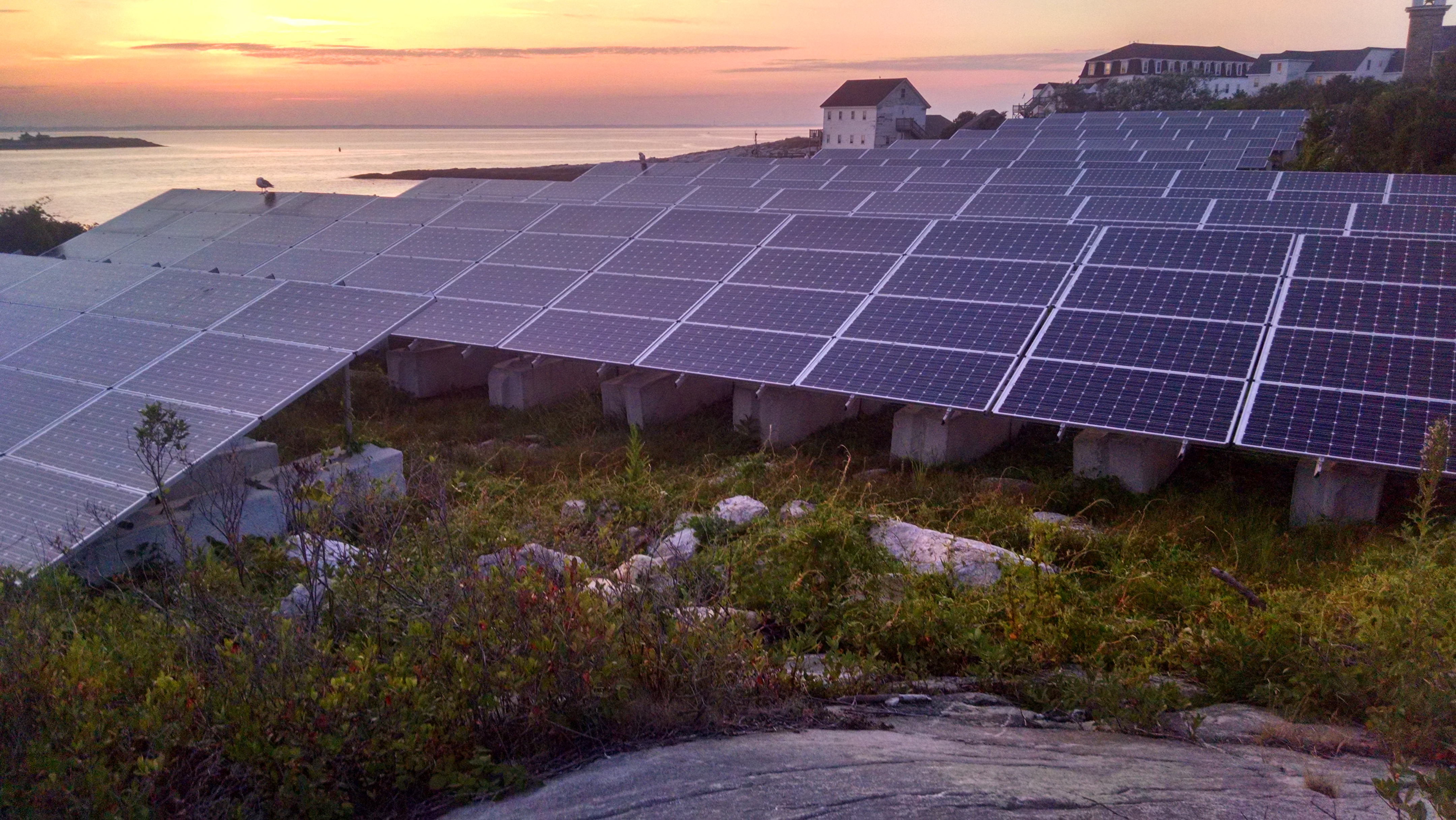 Green Gosport Initiative