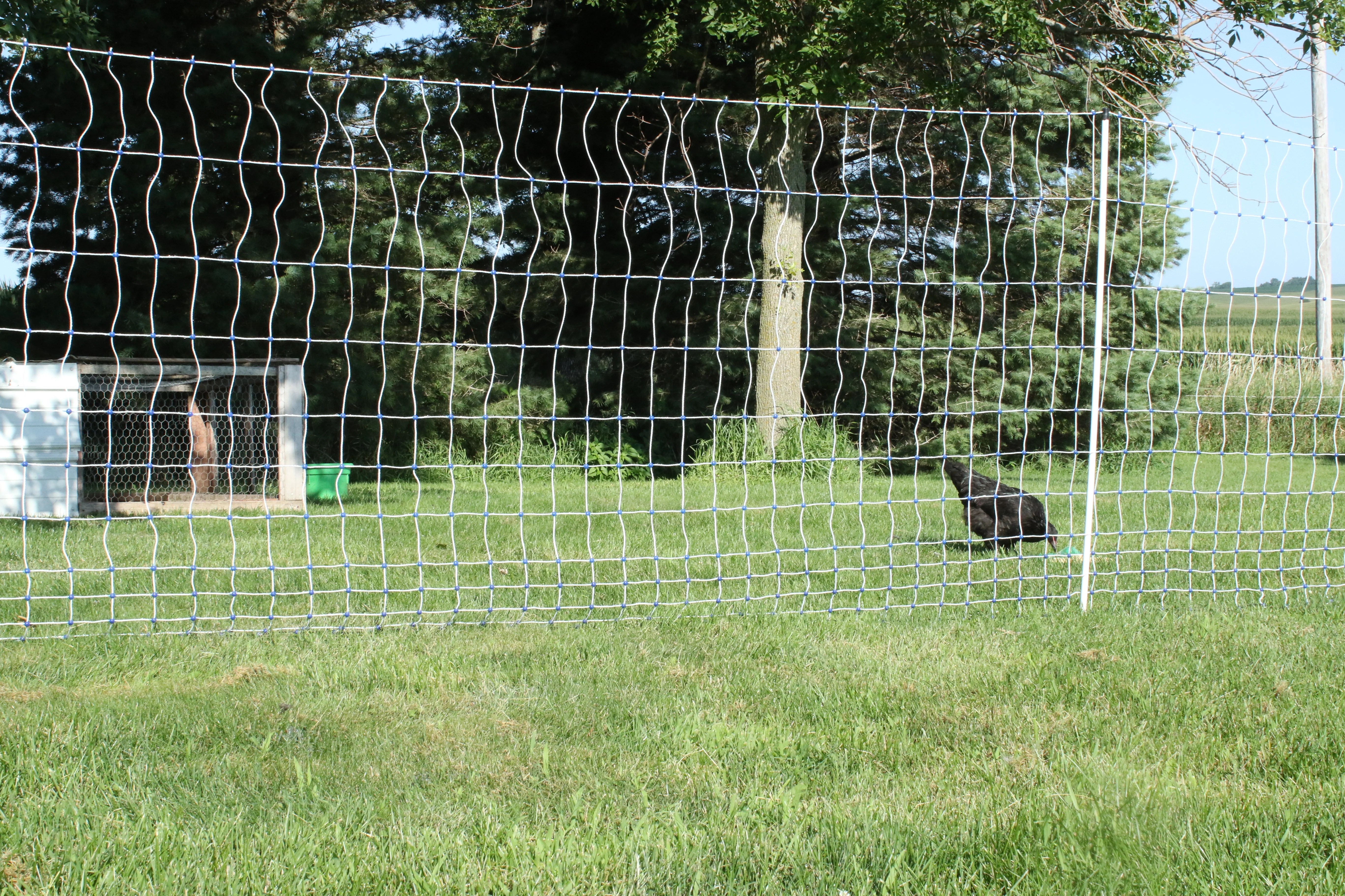 Poultry Netting Poultry Netting Fence Starkline
