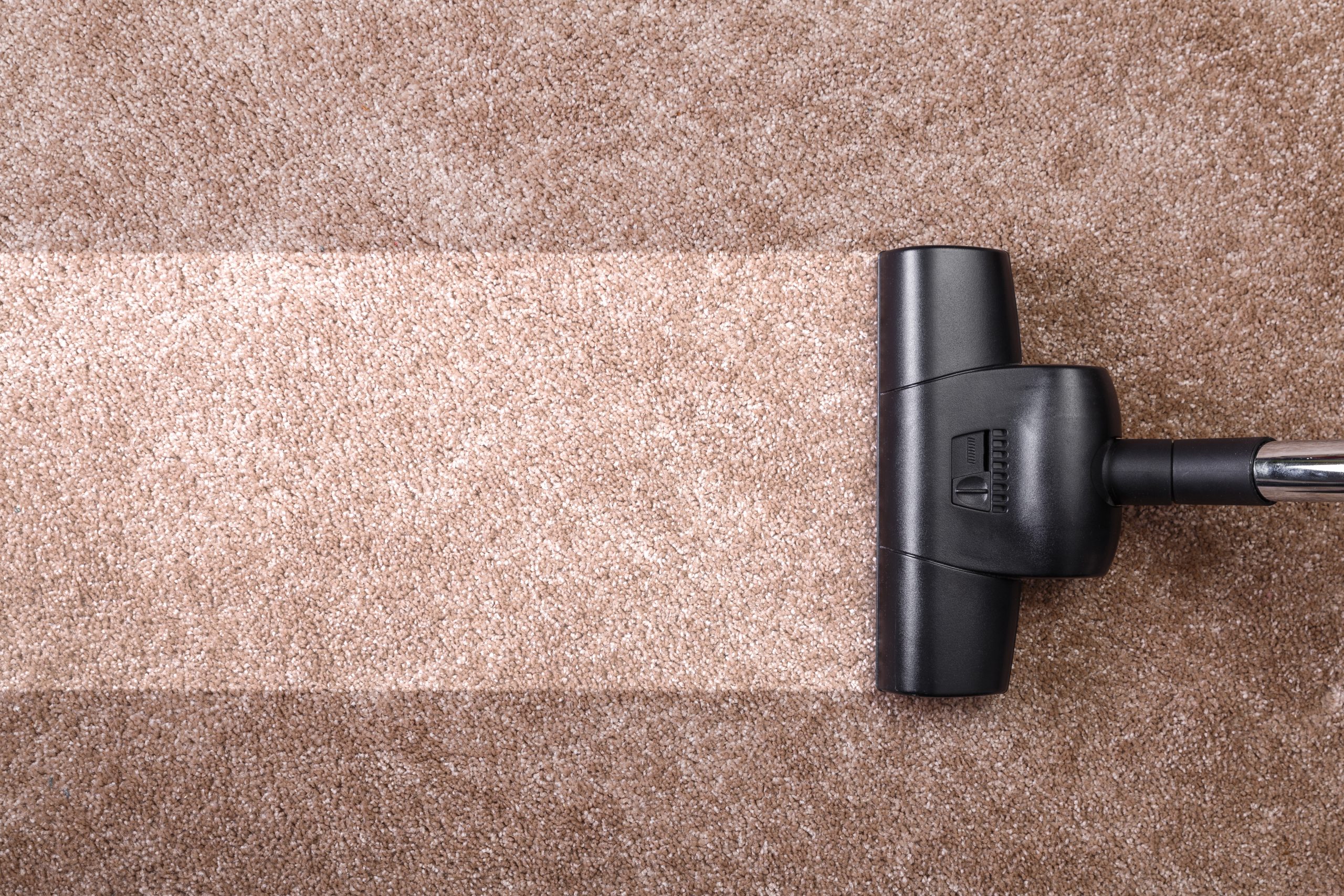 Suck it Up Improving IAQ in Allergy Season Stark's Vacuums