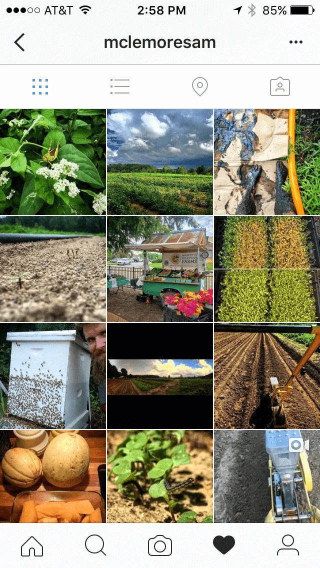 Bountiful Harvest Farms Starkville, Mississippi's College Town