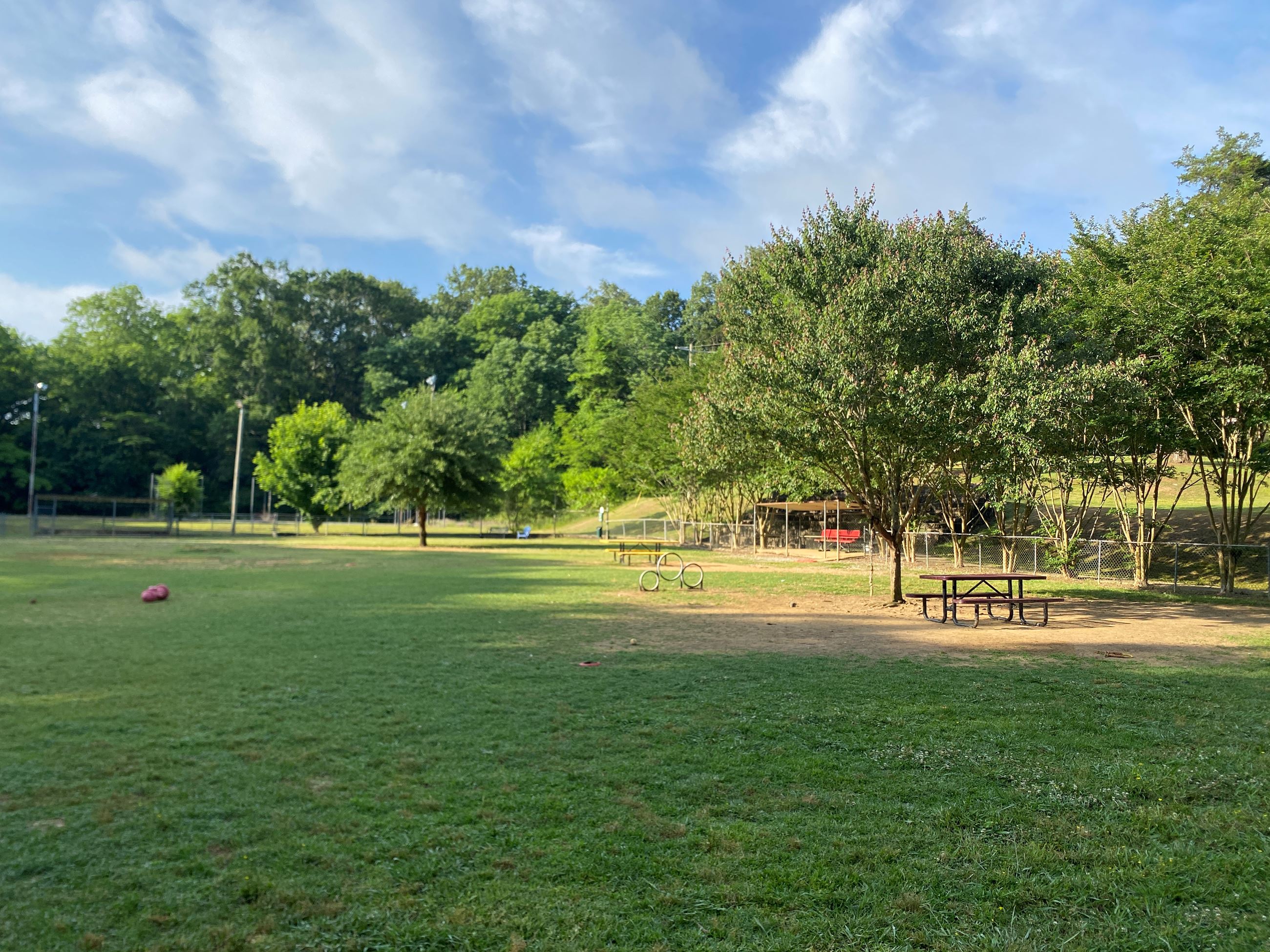 Starkville Dog Park Starkville, Mississippi's College Town