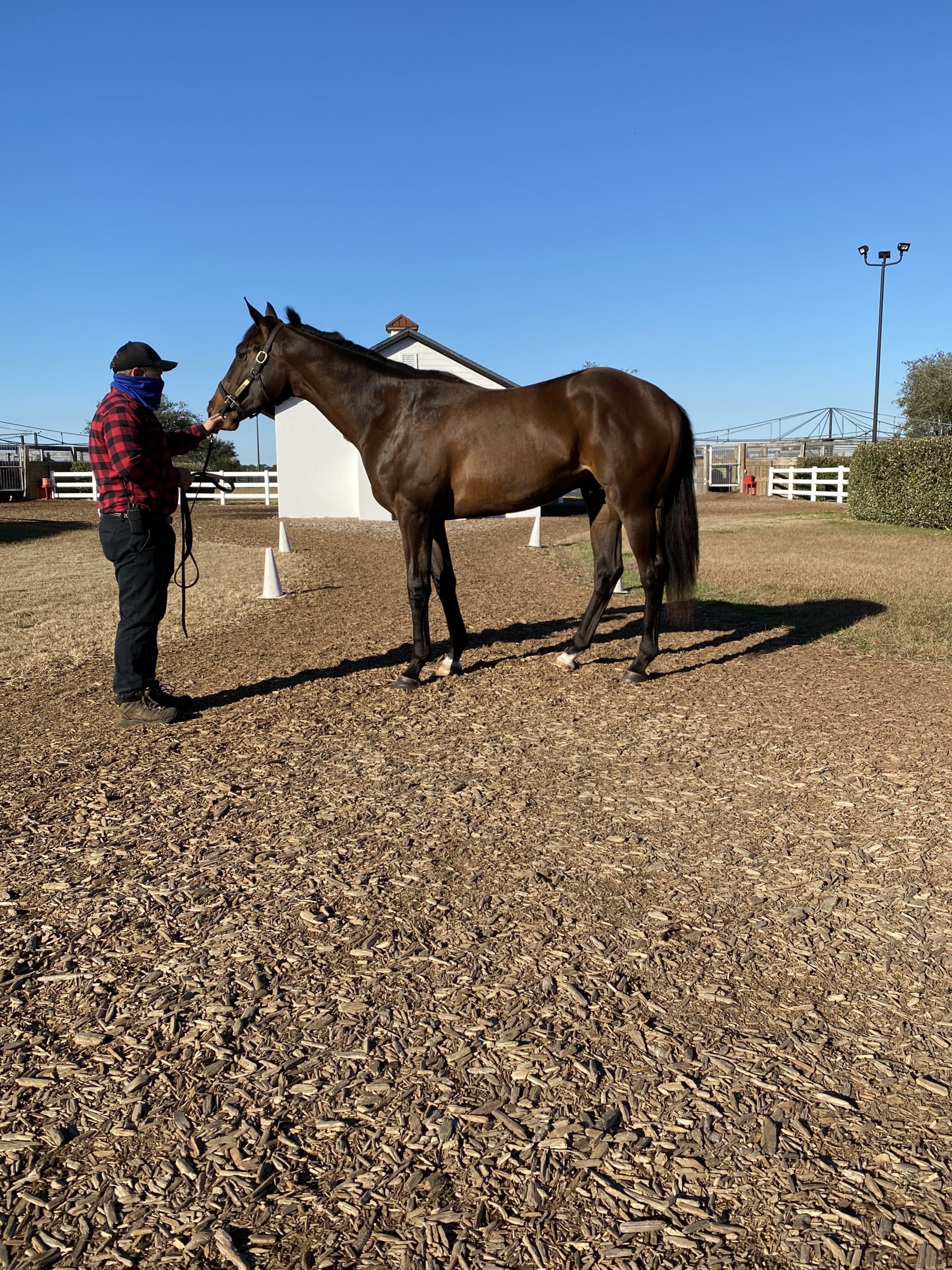 Blackadder Starlight Racing