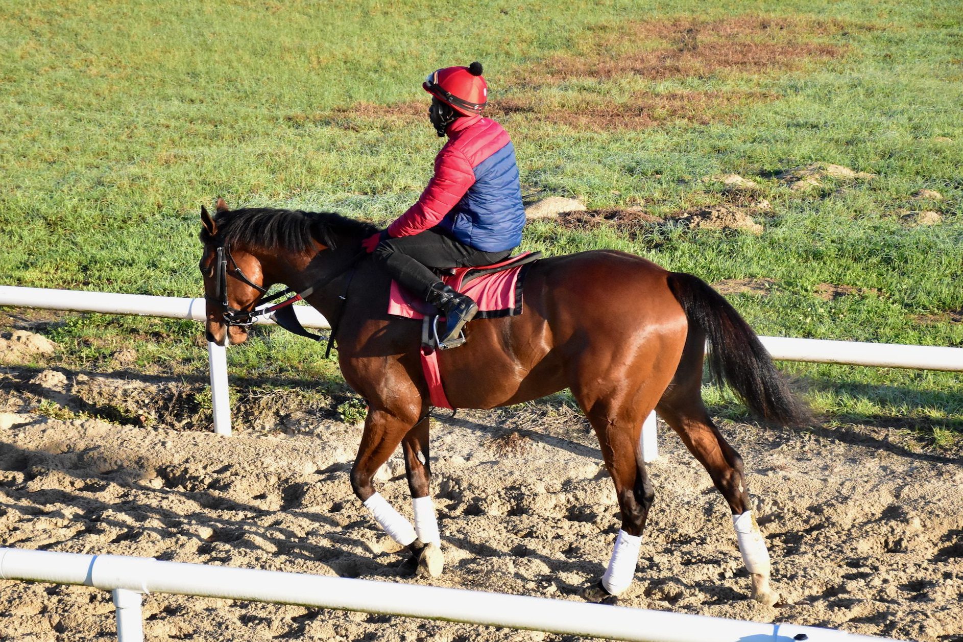 Encode Starlight Racing