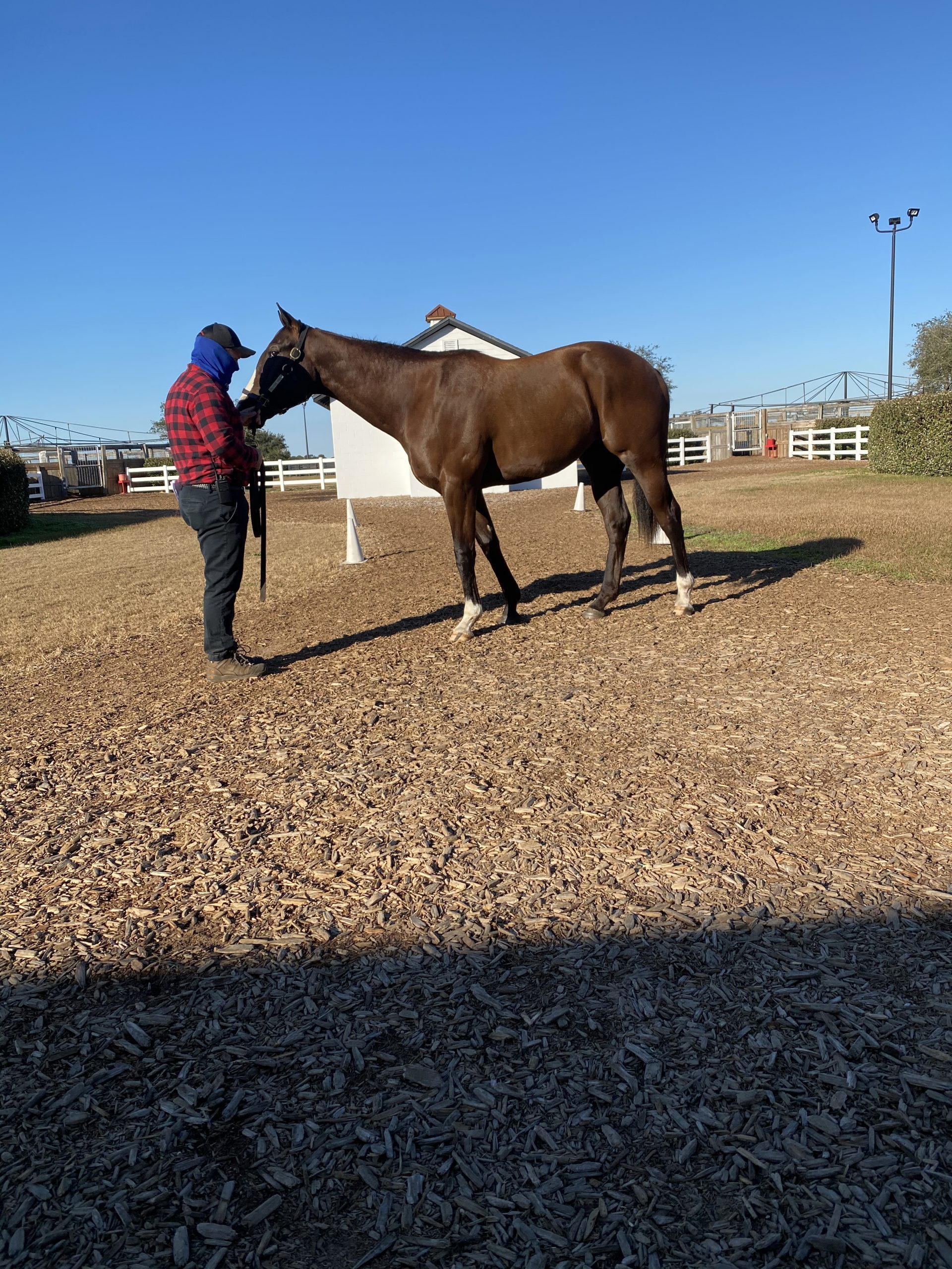 Faneuil Hall Starlight Racing