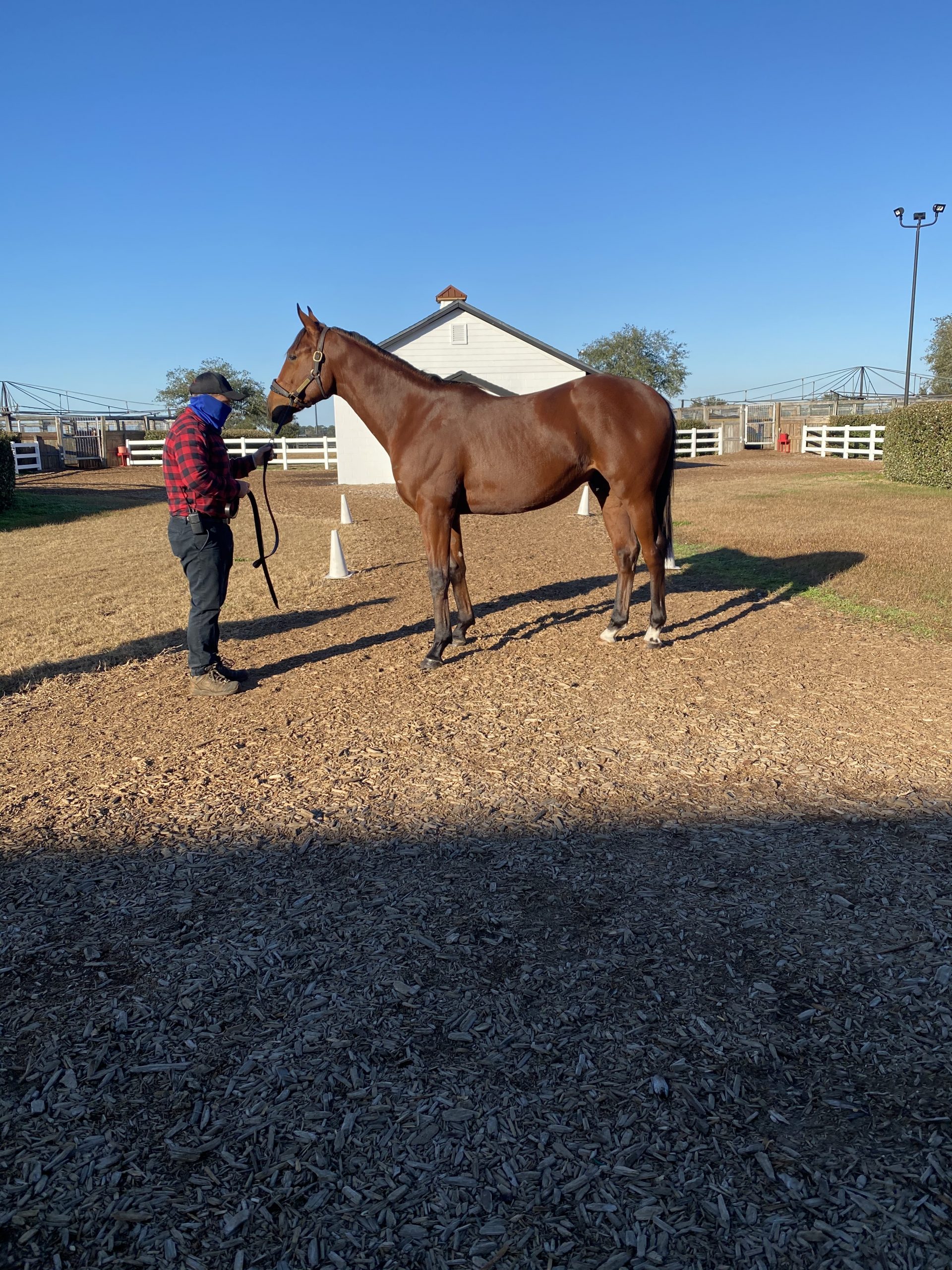 Kendall Square Starlight Racing