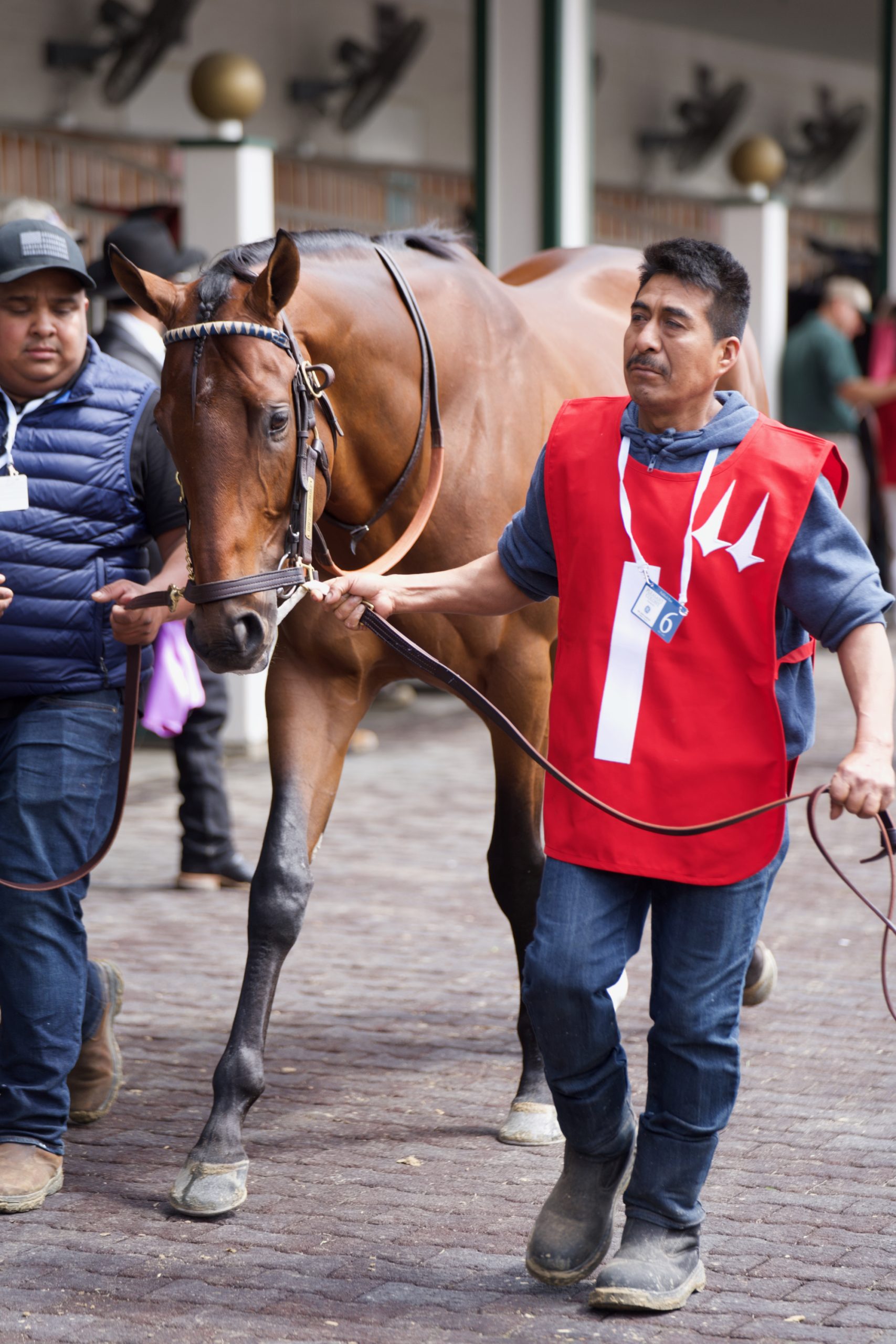 McLaren Vale Starlight Racing