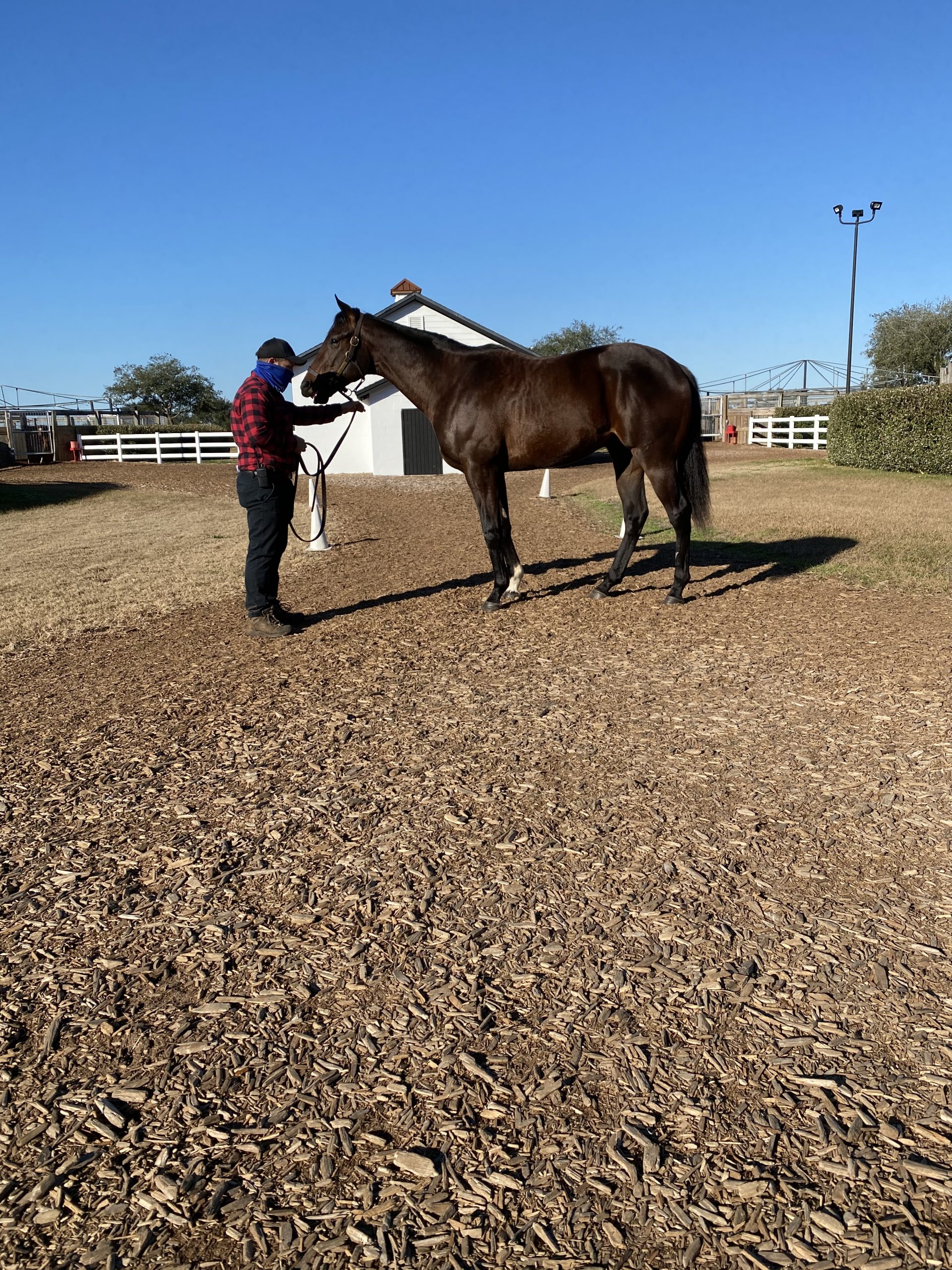 Murray Starlight Racing