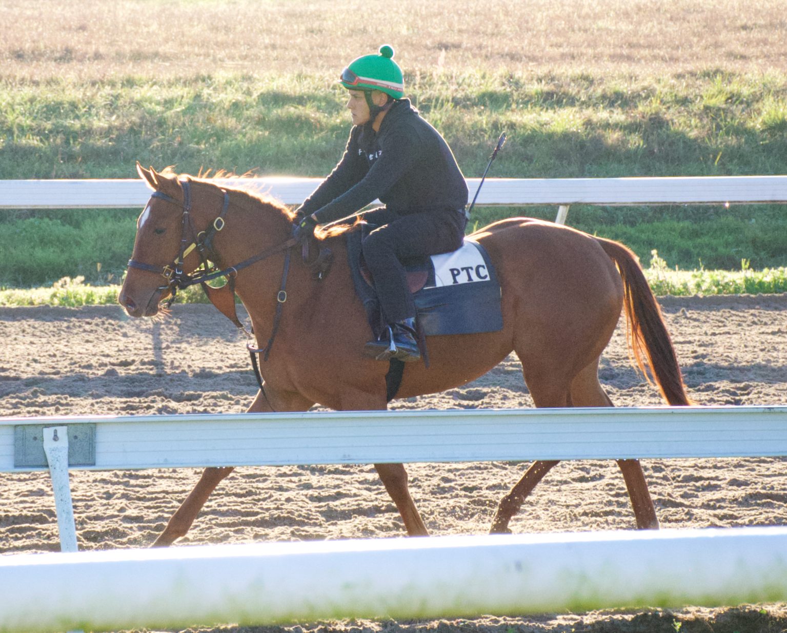 Quotabelle Starlight Racing