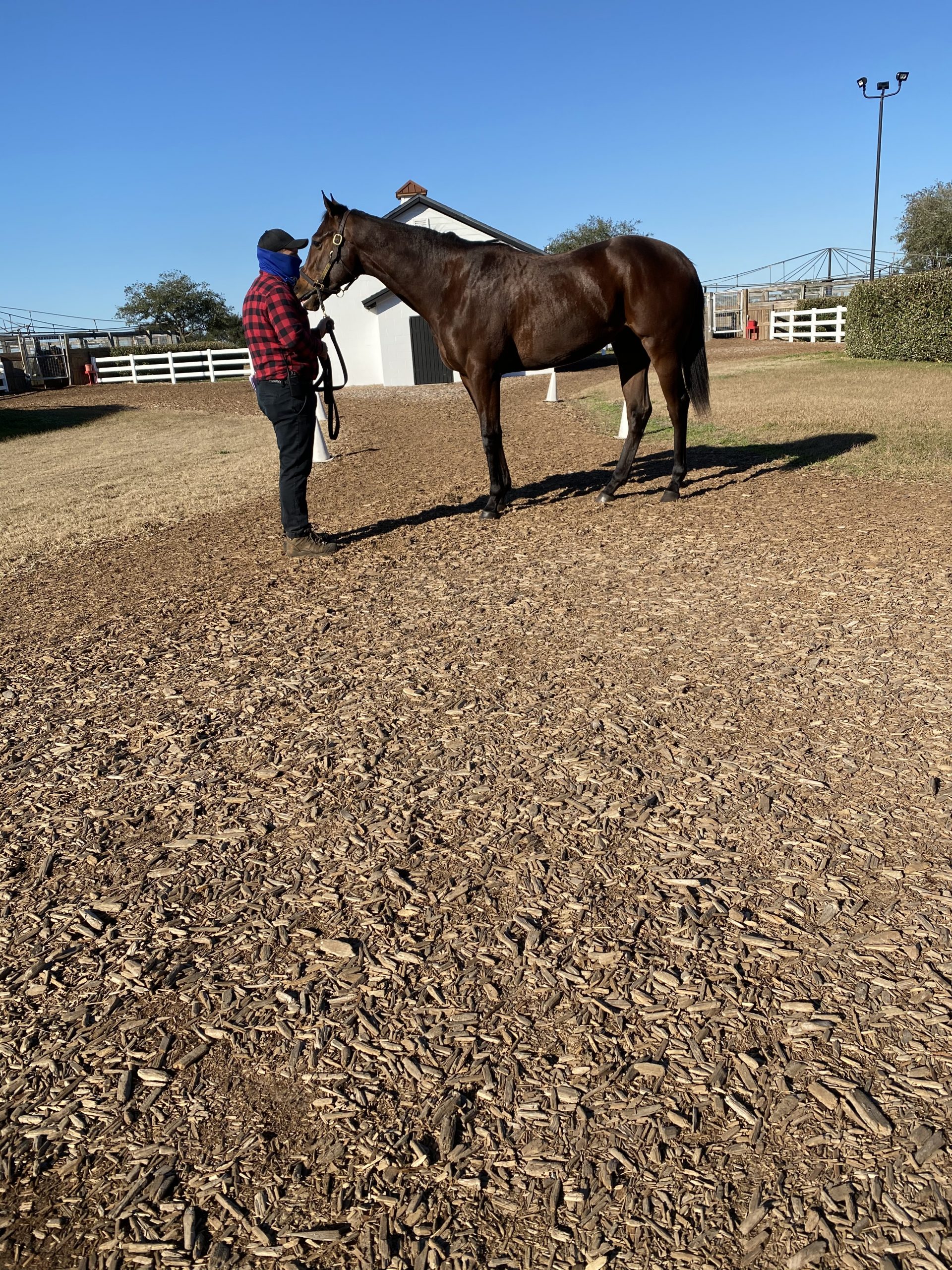 Rockefeller Starlight Racing