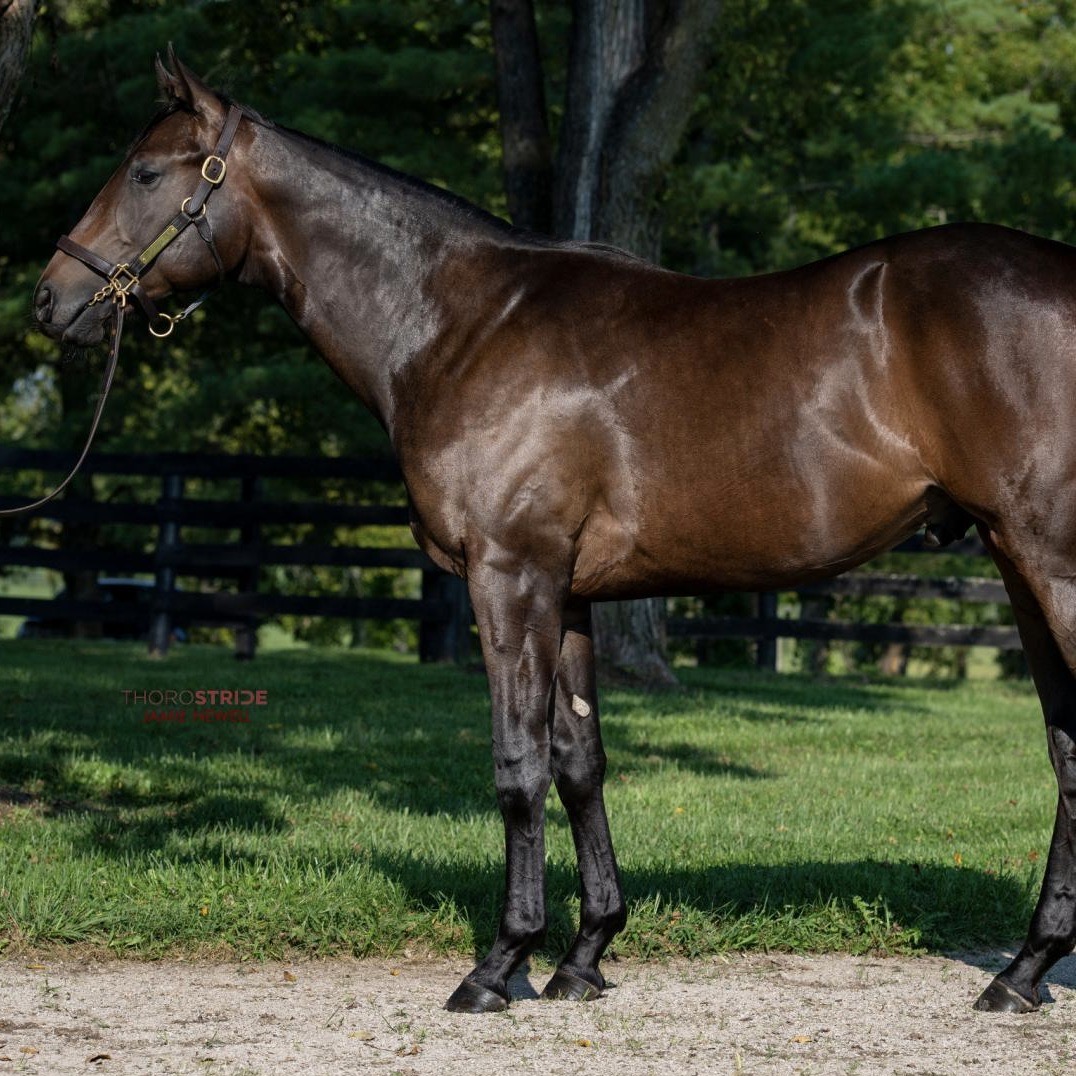 Wrightsville Starlight Racing