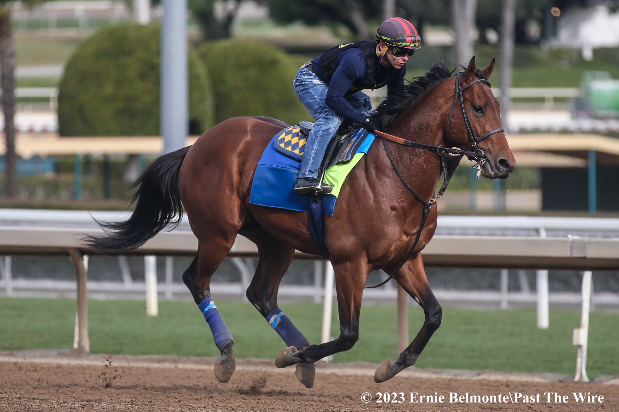 May 2019 Partnership Update Starlight Racing