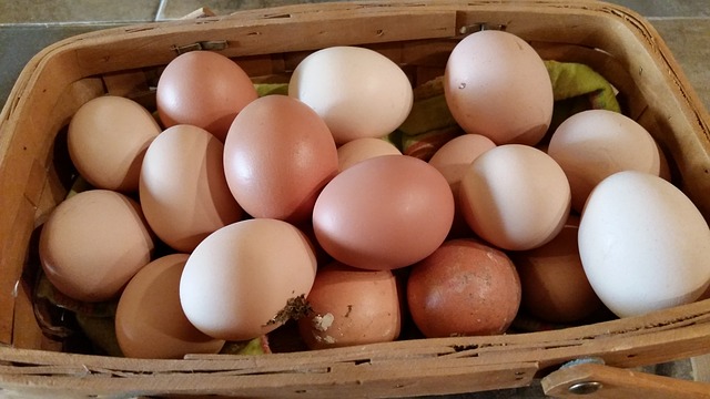 White Eggs Vs. Brown Eggs Star Milling Co.