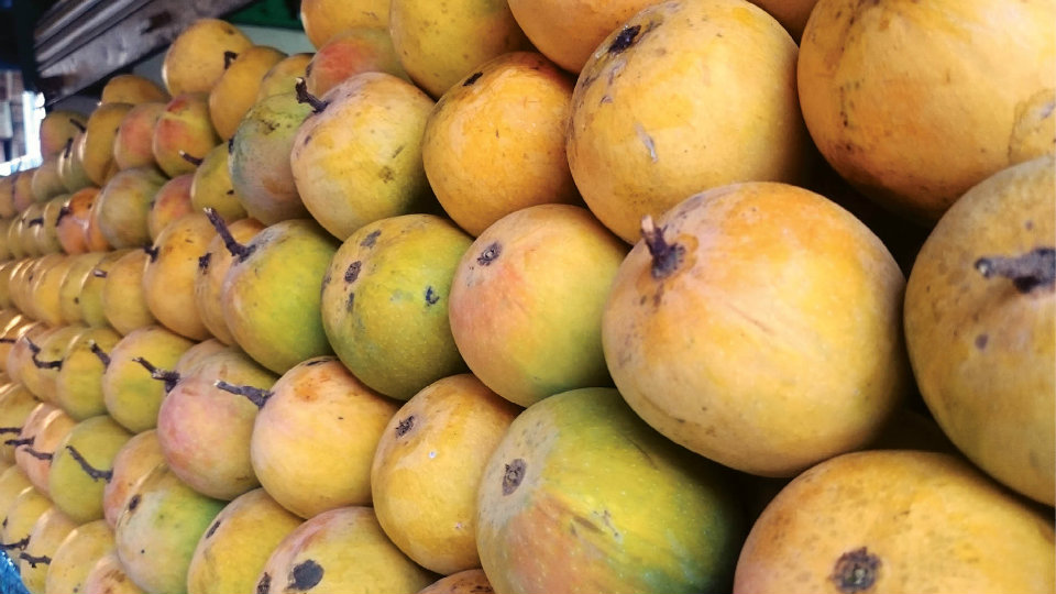 Take a bite Mango fever grips city Star of Mysore