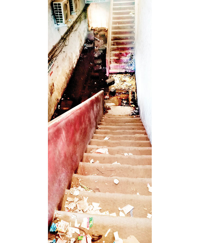 Neglected MCC properties Star of Mysore