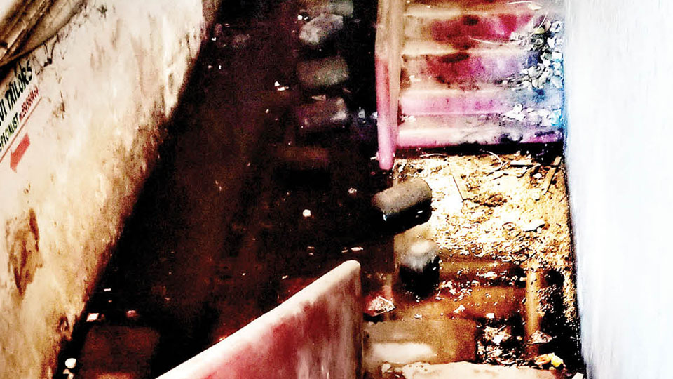 Neglected MCC properties Star of Mysore